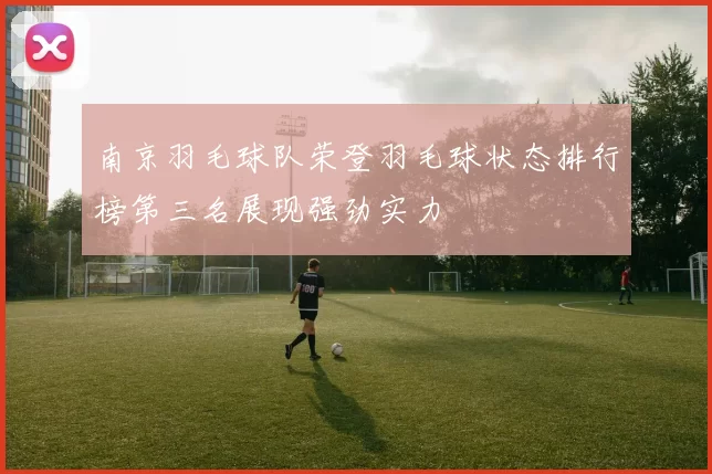 南京羽毛球队荣登羽毛球状态排行榜第三名展现强劲实力