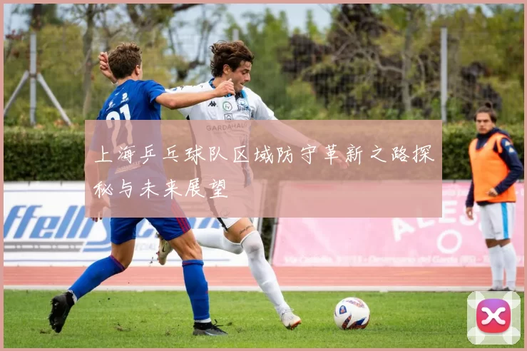 上海乒乓球队区域防守革新之路探秘与未来展望