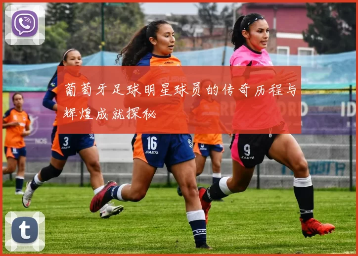 葡萄牙足球明星球员的传奇历程与辉煌成就探秘