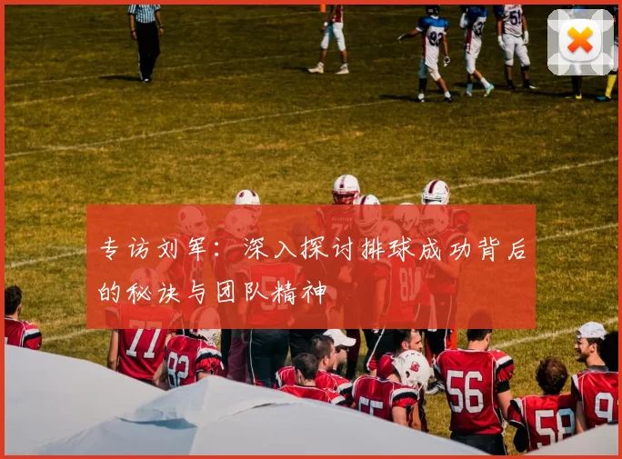 专访刘军：深入探讨排球成功背后的秘诀与团队精神