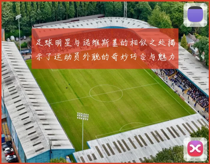 足球明星与诺维斯基的相似之处揭示了运动员外貌的奇妙巧合与魅力