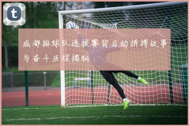 成都排球队选拔赛背后的拼搏故事与奋斗历程揭秘