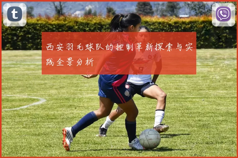 西安羽毛球队的控制革新探索与实践全景分析