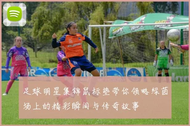 足球明星集锦鼠标垫带你领略绿茵场上的精彩瞬间与传奇故事