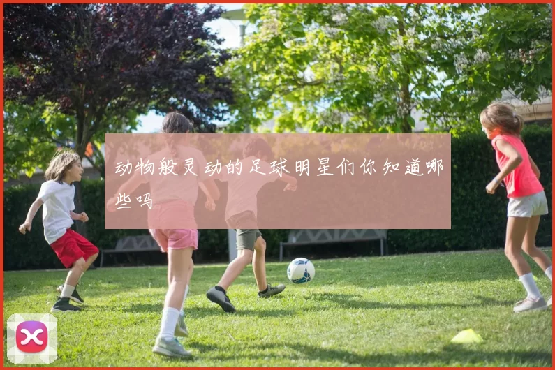 动物般灵动的足球明星们你知道哪些吗